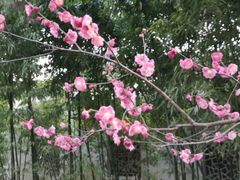 -兴教寺