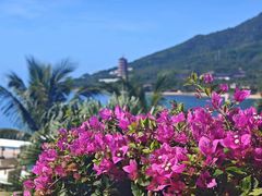 -三亚南山文化旅游区