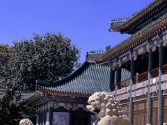 -国家图书馆·古籍馆