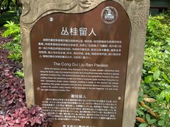 -桂湖森林公园