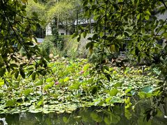 -三圣花乡旅游区