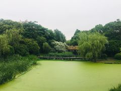 -长广溪湿地公园