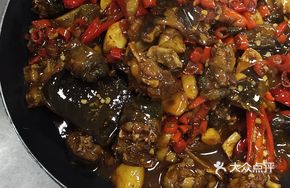 Killer Softshell Turtle