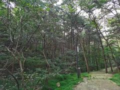 -大连金龙寺国家森林公园-售票处