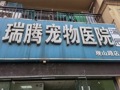 -圣宠动物医院·犬猫专科·影像中心·外科中心