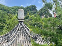 -王顺山国家森林公园