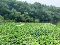 -天目湖山水园