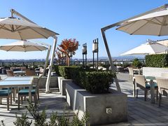 -王府井文华东方酒店-紫膳餐厅