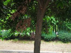 -浙江农林大学(东湖校区)
