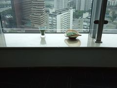 -飞洲国际广场