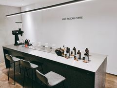 -野鸽子咖啡(中航店)