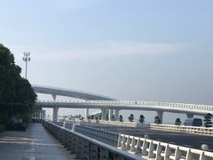 -演武大桥观景平台