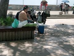 -奉贤海滩