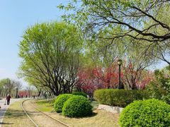 -永定河休闲森林公园