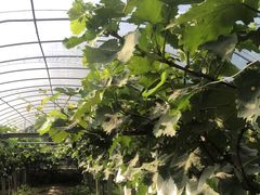 -美家乐农庄·露营·团建(大治路店)