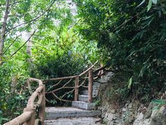 -海南热带雨林国家公园吊罗山景区