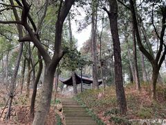 -临平公园(临平街道)