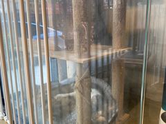 -PETKIT小佩宠物·低压洗护(国顺东路店)