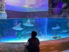 -沈阳海洋探索中心