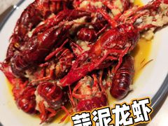 -杨氏青龙虾·羊蝎子(托乐嘉店)