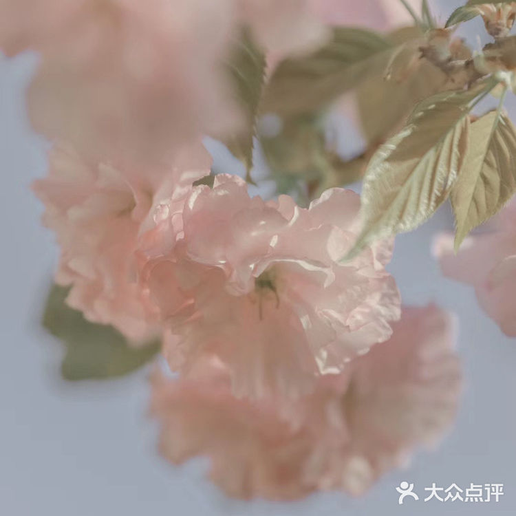 (桃、杏、梨对应的颜色红、粉、白)花里带着甜味