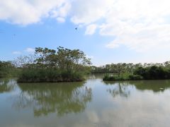 -大湾区中央湿地公园