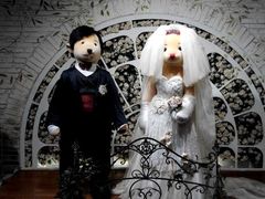 android_upload_pic-济州岛泰迪熊博物馆