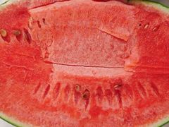 -庞各庄翠芳园西瓜蔬菜基地采摘园