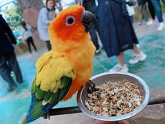 -西霞口神雕山野生动物世界