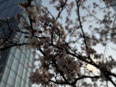 -成都尼依格罗酒店