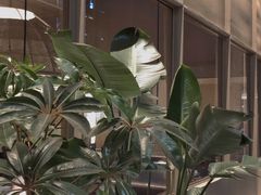 -生如夏花泰式火锅(西村黑金店)