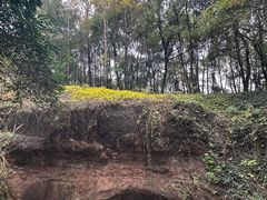 -龙游石窟