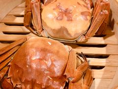 -赤甲皇(仙霞路店)