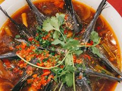 -旭龙鱼头王(航华店)