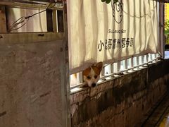 -小梁哥云吞面(黄贝岭店)