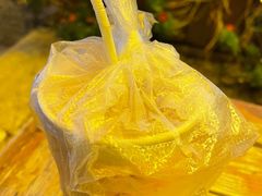 -内涵饵块
