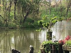 -新江湾城公园