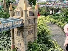 -南宫五洲植物乐园