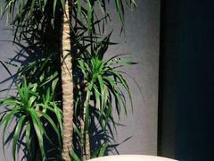 -徐记海鲜(南油永新汇店)