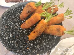 -丁老爷子苏香圆