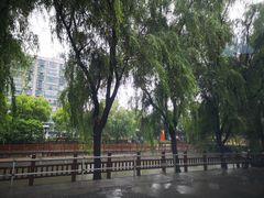 -平吉花卉市场