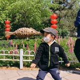 玉渊潭公园游，美好不只一点点