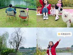 -铁山坪森林公园