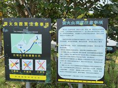 -西涌国际滨海旅游区