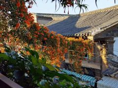 -香满楼(临安路店)