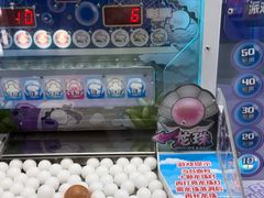-汤姆熊欢乐世界(光启城店)