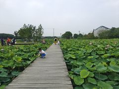 -梁鸿国家湿地公园