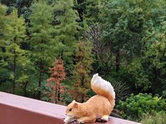 -云溪植物园