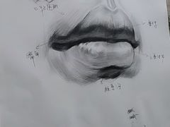 -八哥美术·成人美术画室(总校区)
