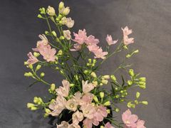 -江南雅厨·江南文化·苏州菜(李公堤店)